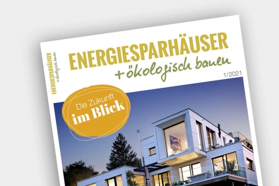 Energiesparhäuser + ökologisch bauen 01/2021